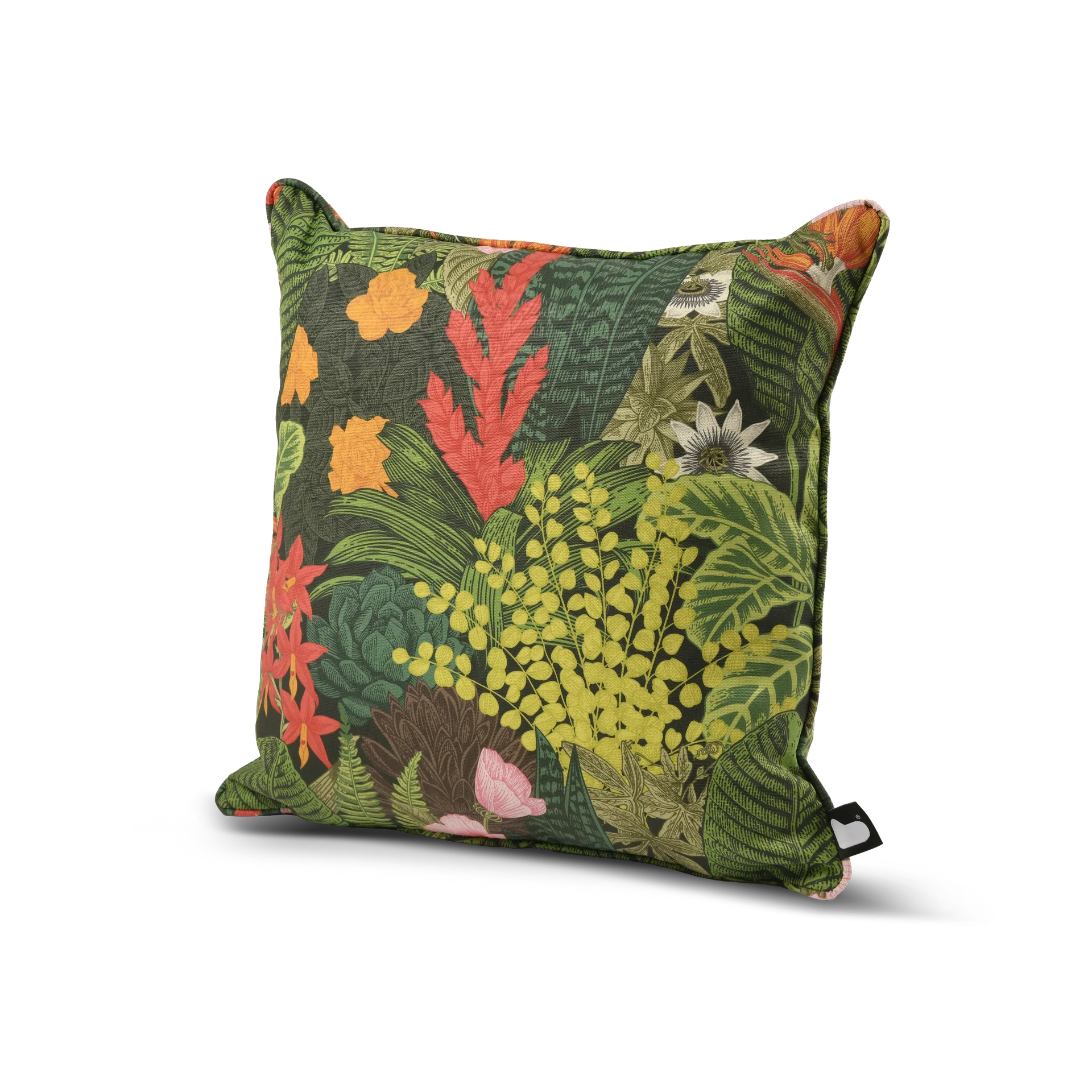 b-Cushion Art Collection