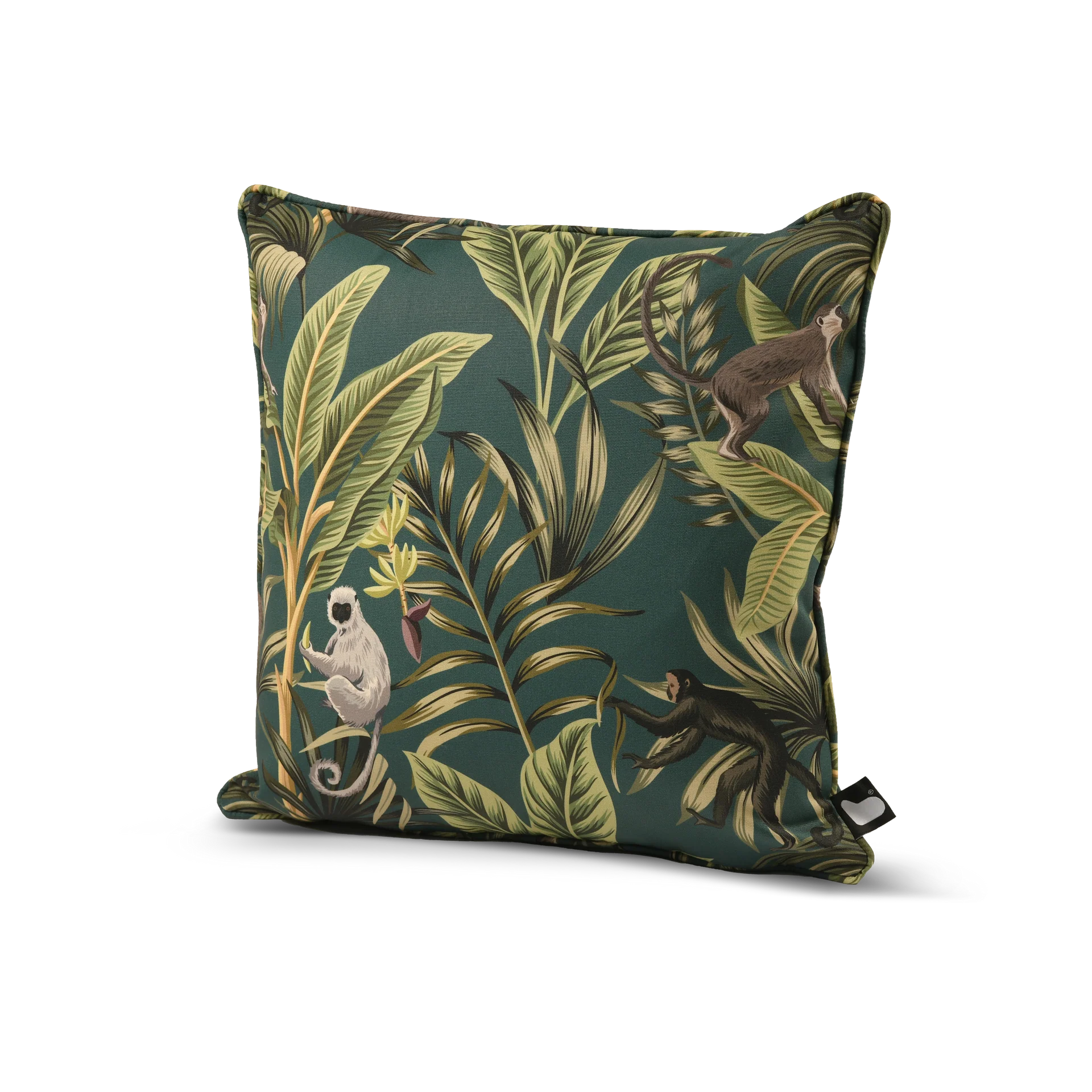 b-Cushion Art Collection