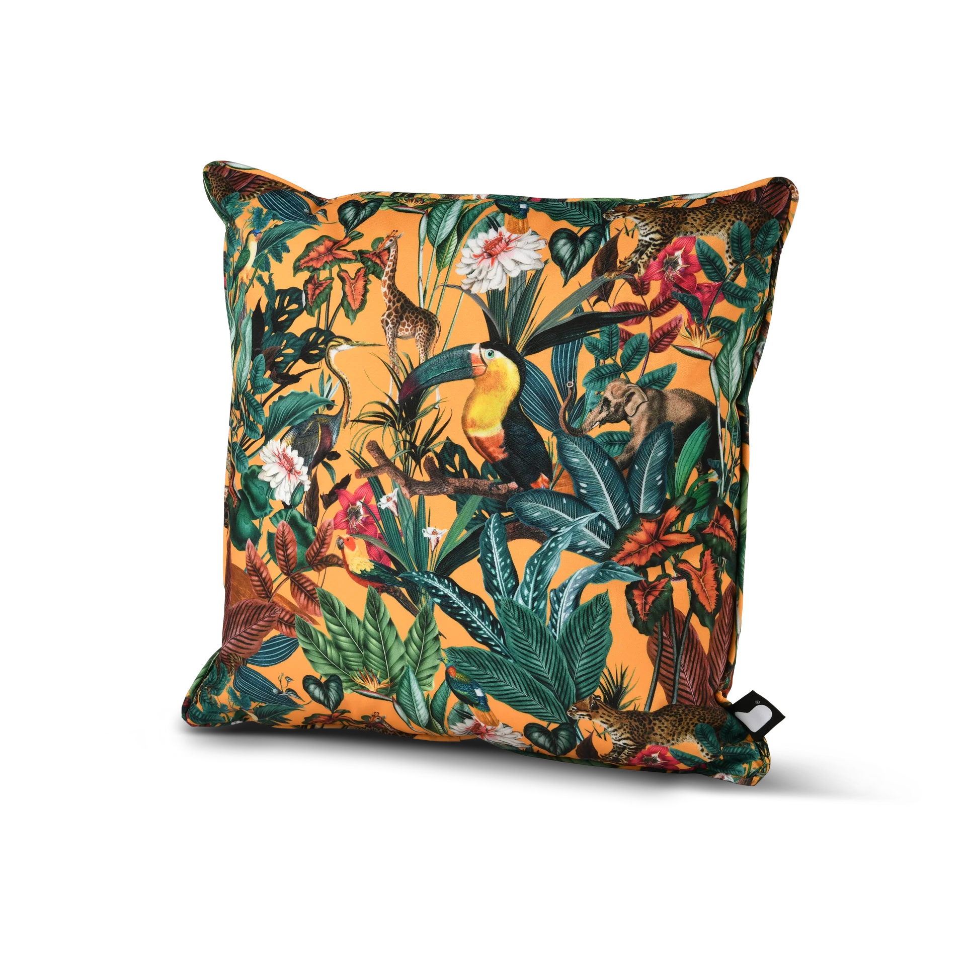 b-Cushion Art Collection